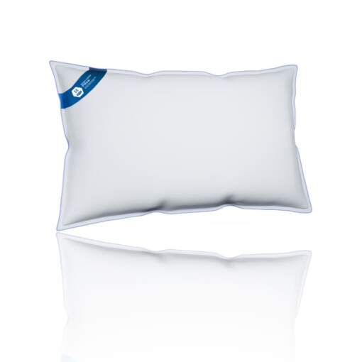 Sealy Natural Comfort Pillow