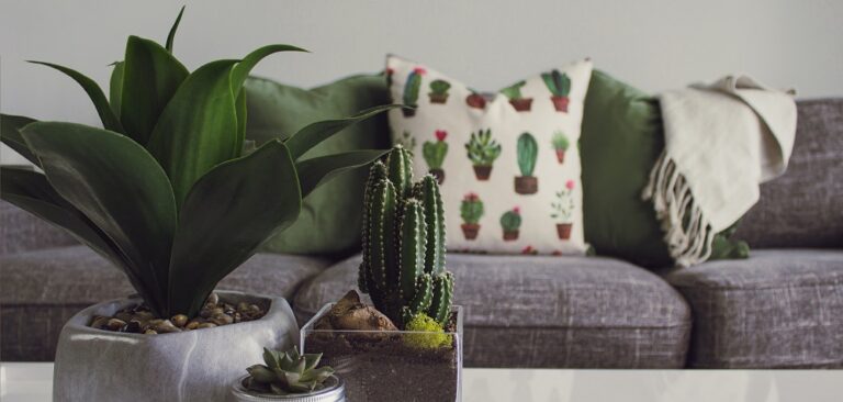 Sleeper Couch