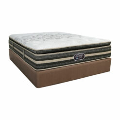 Simmons World Class Luxury Firm Bed Set (Queen)